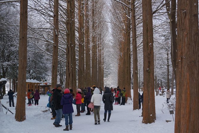 [Perfect Private Tour] Nami island, Petite France and Organic Strawberry Farm - Should you book this Nami Island, Petite France and Aram Berry Farm private tour?