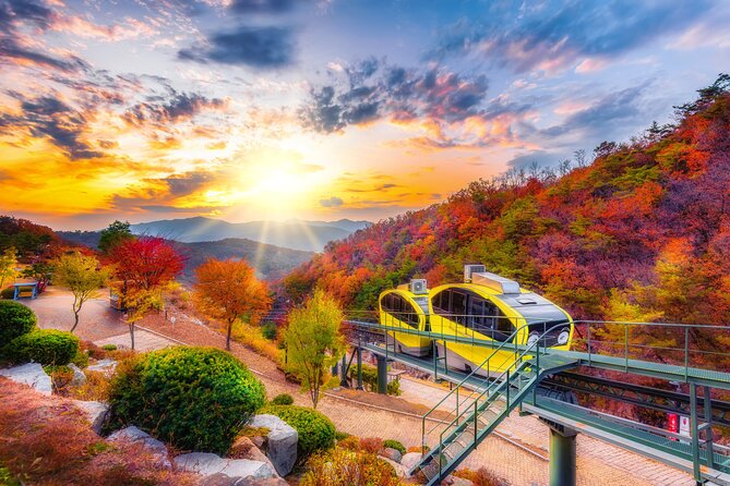 Pocheon Art Valley, Garden & Fruit Picking Day Tour from Seoul - Why Pocheon Day Trips Feel Easier Than DIY