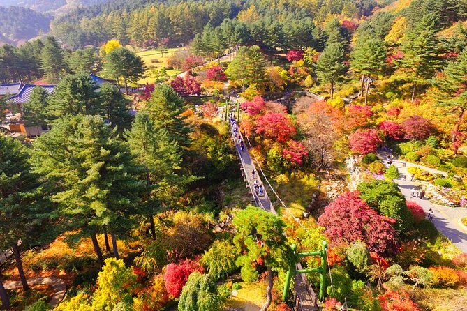 Pocheon Art Valley, Garden & Fruit Picking Day Tour from Seoul - Stop 3: Apple Farm or Strawberry Picking, Depending on the Season