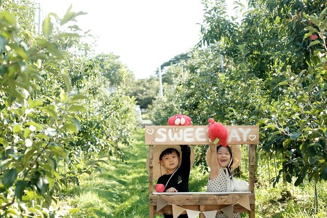 Pocheon Art Valley, Garden & Fruit Picking Day Tour from Seoul - Pacing, Group Size, and How Much Freedom You Get