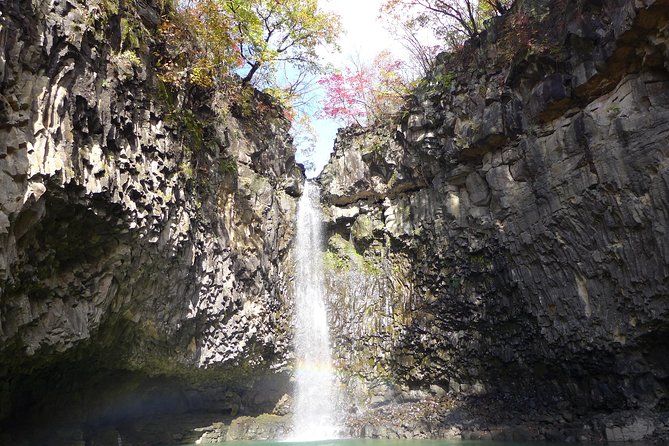 Pocheon Private Day Tour from Seoul - Herb Island: A Scent-Forward Garden Stop