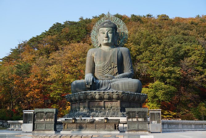 [Premium Private Tour] Mt Seorak & East Sea or Nami island from Seoul - Gwongeumseong peak by cable car, or Biseondae valley views on foot