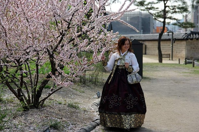 Private day tour Korea(Seoul trip) with Professional Photographer - DMZ day with Hiry Art Village and Provence Village: north-side perspective in a full day