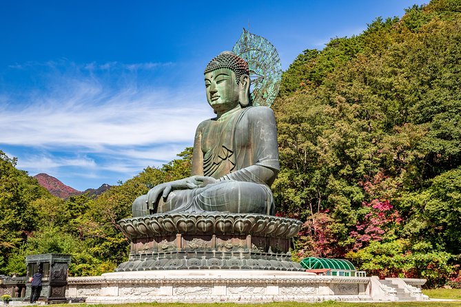 Private Day Trip to Seoraksan National Park - Price and Logistics: What $260 Buys You