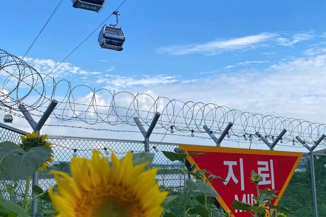 [Private] DMZ & Imjingak Peace Gondola Experience Inter-Korean War - Who this tour fits best, and who should choose something else