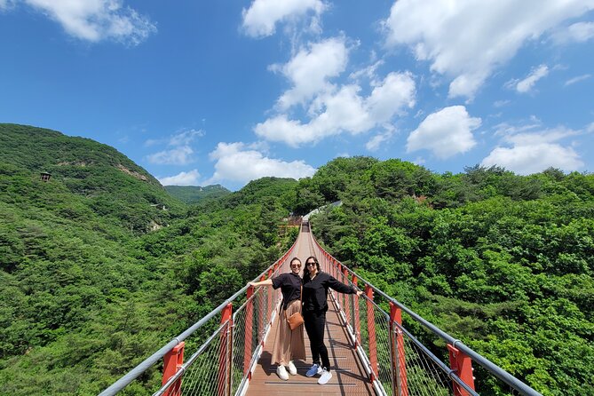 Private DMZ Tour and Suspension Bridge + Korean BBQ - Key highlights at a glance