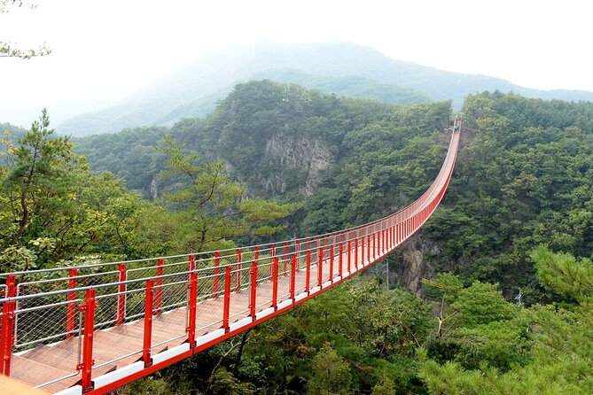 Private DMZ Tour (No Shopping): 3rd Tunnel & Suspension Bridge - Private transport, real comfort, and the no-shopping vibe