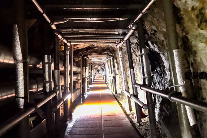 Private DMZ tour(Tunnel / Observation) with hotel pick up - Hotel pickup, the 8:00 am start, and how the day flows