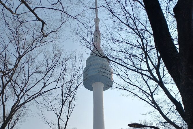 Private Full Day Seoul City Tour and N Tower Cable Car - Best-fit travelers and who should consider alternatives