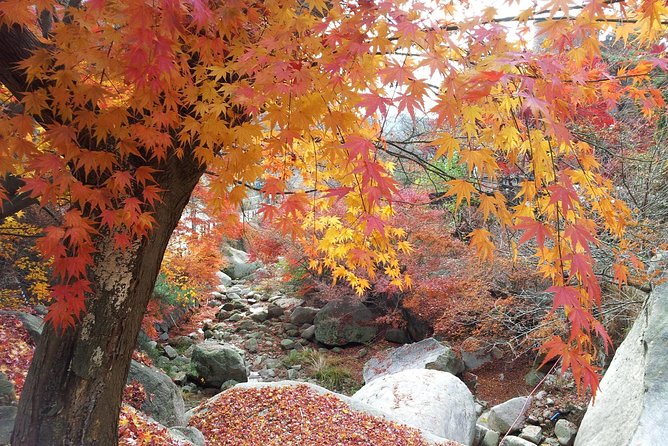 Private Hiking to Bukhansan & Korean Style Spa(Include Lunch) - Pacing the hike: what two hours on Gugi-dong really means