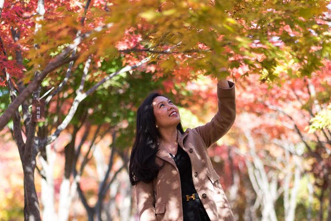 Private Nami Island Photo Shoot and Tour with a Photographer - Private Pickup, Air-Conditioned Comfort, and the Road Time
