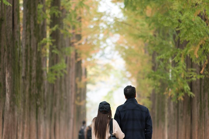 Private Nami Island Photo Shoot and Tour with a Photographer - 7 Hours Total: How the Timing Feels