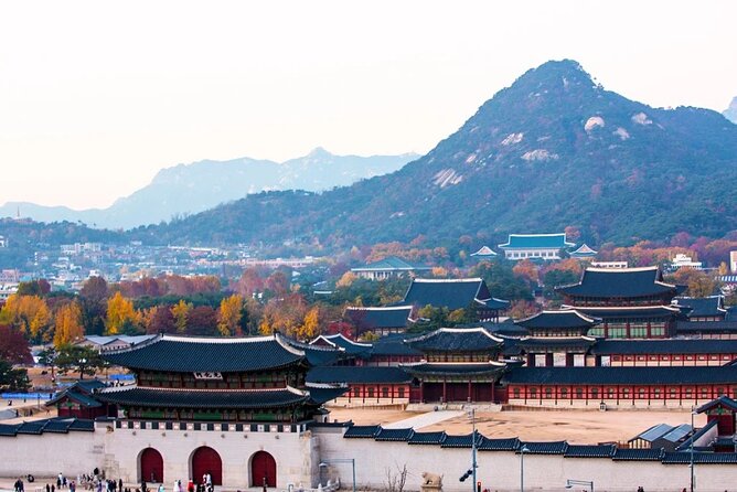 Private Seoul City Tour Palace, village, temple, market - The Blue House Area Behind the Palace, A Quick Photo Moment With Context