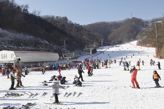 Private Ski Tour(Lesson) near Seoul at Elysian Gangchon Resort - Key Things to Know Before You Go