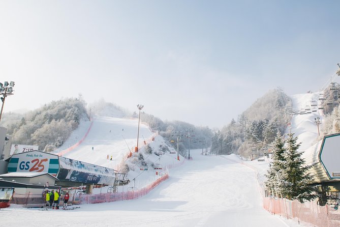 Private Ski Tour(Lesson) near Seoul at Elysian Gangchon Resort - Elysian Gangchon Resort: the beginner-friendly base near Seoul