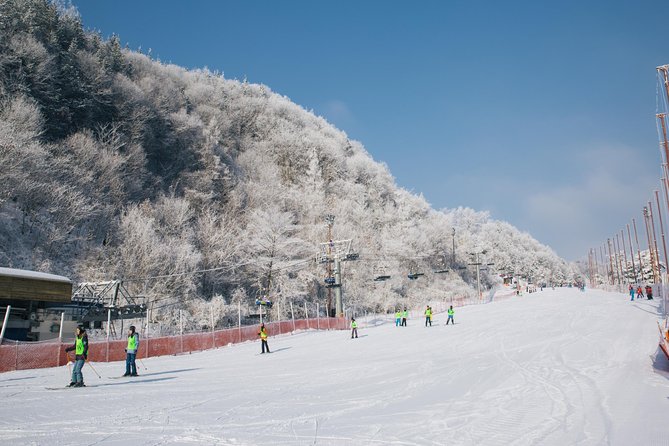 Private Ski Tour(Lesson) near Seoul at Elysian Gangchon Resort - Private lesson energy: 2 to 5 students, fluent English instruction