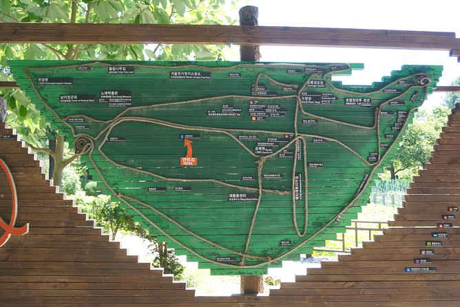 Private Tour: Nami Island& (Alpaca World 'or' Morning Calm)&Lunch - Should you book this private Nami and Alpaca or Morning Calm day trip?