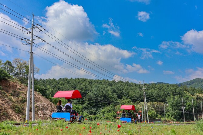 (Private tour) Nami Island + Railbike + Garden of morning calm - Private tour that turns the outskirts into your itinerary