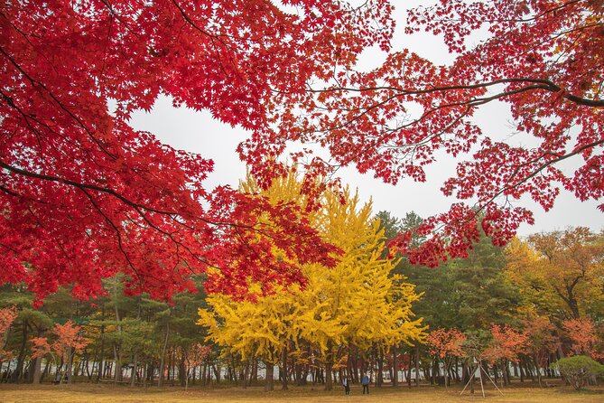 (Private tour) Nami Island + Railbike + Garden of morning calm - The 8:00 am start and the rhythm of a 10-hour day