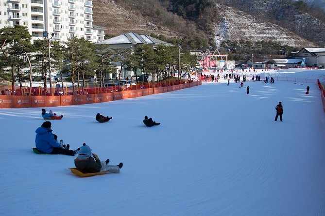 [Private Tour] Nami Island & Snow Viewing and Snow sled (More Members Less Cost) - How the pickup and private drive change the whole day