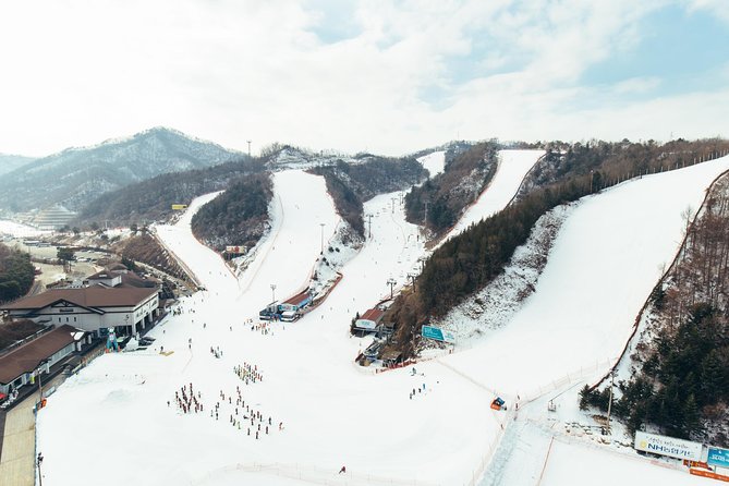 [Private Tour] Nami Island & Snow Viewing and Snow sled (More Members Less Cost) - Timing tips for the full 8 to 9 hour loop