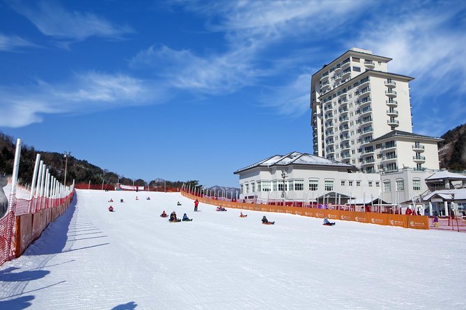 [Private Tour] Nami Island & Snow Viewing and Snow sled (More Members Less Cost) - What to pack for waterproof winter weather