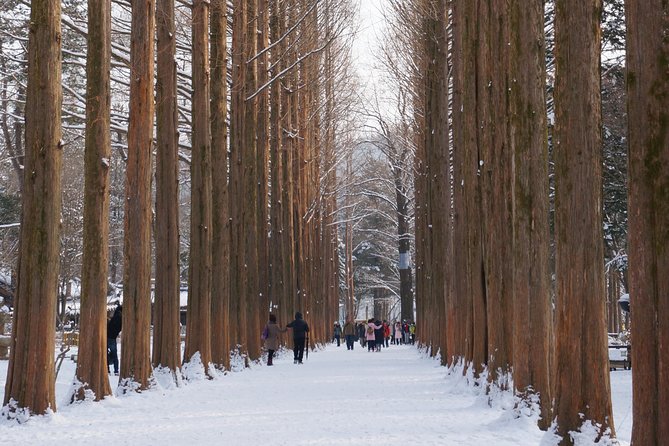 [Private Tour] Nami Island & Snow Viewing and Snow sled (More Members Less Cost) - Should you book this Nami Island and Elysian snow tour?