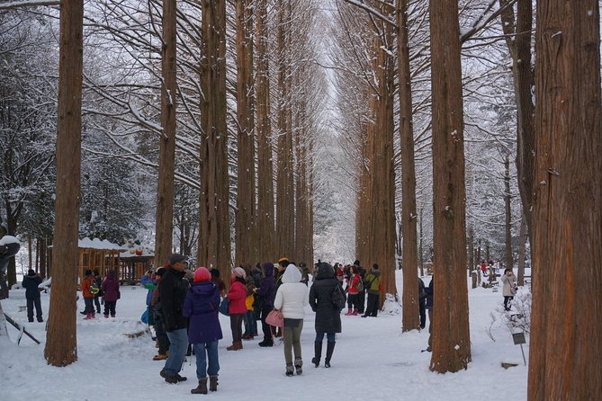 Private Tour Nami Island with Petite France 'and/or' The Garden of Morning Calm - Nami Island: the 4-hour “walk, photo, repeat” highlight