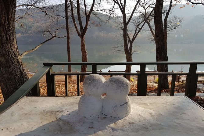 Private Tour Nami Island with Petite France 'and/or' The Garden of Morning Calm - Who this tour is best for (and who should skip it)