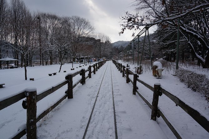 Private Tour Rail Bike & Nami Island & (Petite France or Garden of Morning Calm) - Practical Tips You’ll Thank Yourself For