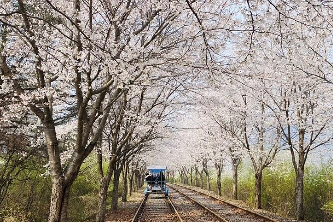 Private Tour to Alpaca world &Nami Island& Railbike with Tickets - Nami Island Entry Upgrades: Zipwire vs Private Motorboat