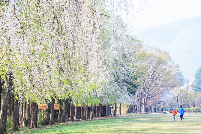 Private Tour to Alpaca world &Nami Island& Railbike with Tickets - Price and Value: What You Are Paying For (and Why It Can Be Worth It)