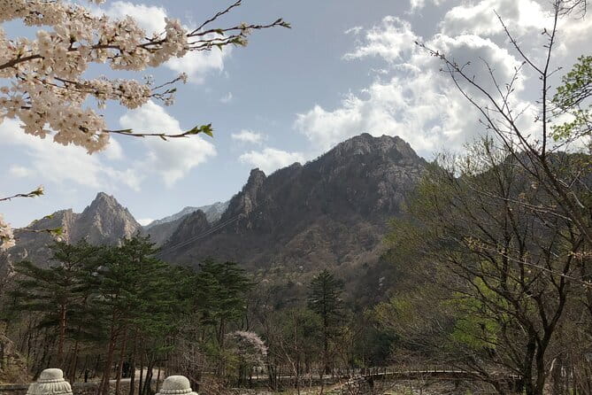 Seoraksan and Cherry Blossom Lake 1 day trip from Seoul - Key things to know before you go