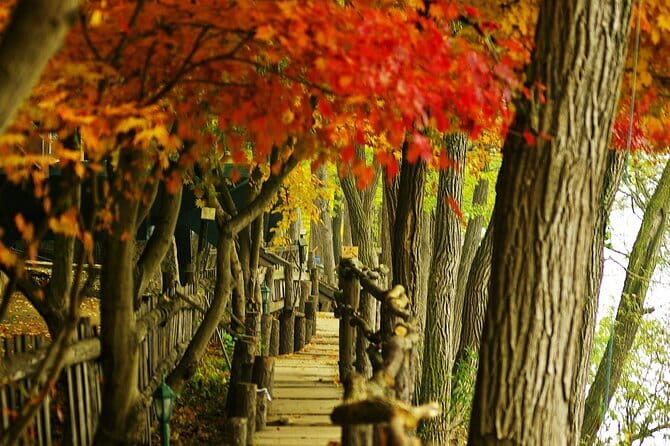 Seoraksan and Cherry Blossom Lake 1 day trip from Seoul - Hike vs cable car: how to choose without burning your day