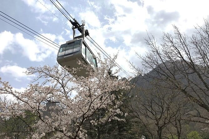 Seoraksan and Cherry Blossom Lake 1 day trip from Seoul - Seoraksan National Park and Shinheungsa Temple: the 4-hour core of the trip