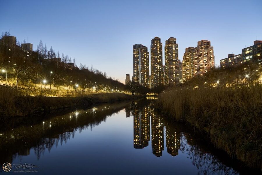Seoul: 4-Hour Gangnam Walking Tour With Customized Itinerary - Meeting your guide and building your day in plain English