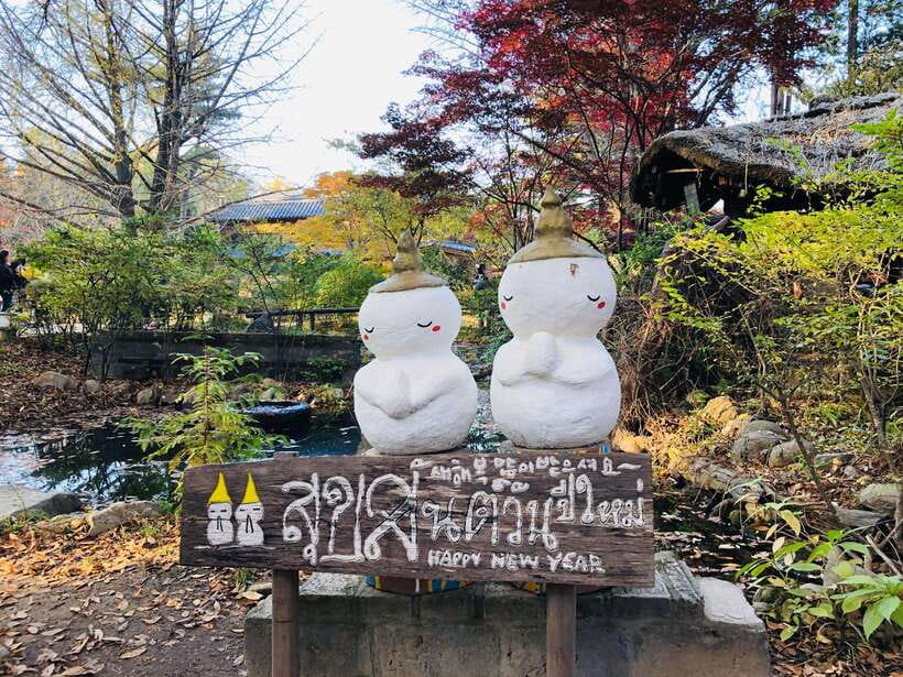 Seoul: Alpaca, Nami, Morning Calm or Eobi (+Rail Bike) - Timing and transport: why the 12.5 hours can feel easy, or hard