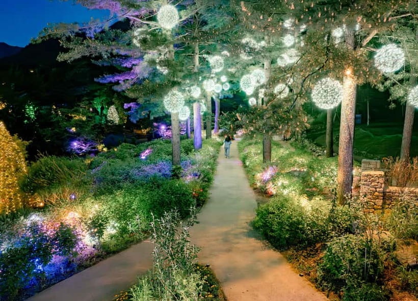 Seoul: Alpaca World and Nami Island (with Garden / Railbike) - Key highlights you’ll actually feel