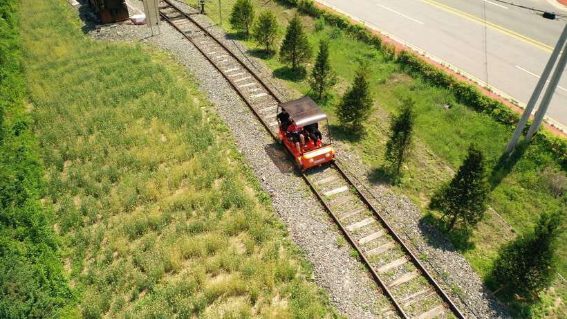 Seoul: Alpaca World and Nami Island (with Garden / Railbike) - Garden of Morning Calm and the light festival choices
