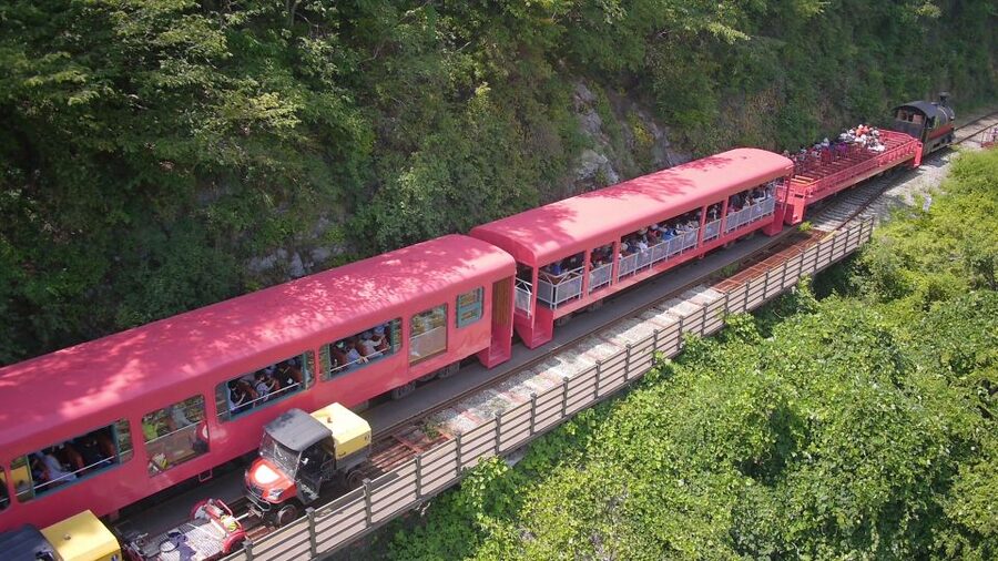 Seoul: Alpaca World & Nami Island optional Gangchon Railbike - Price and value: why this combo can make sense at $71