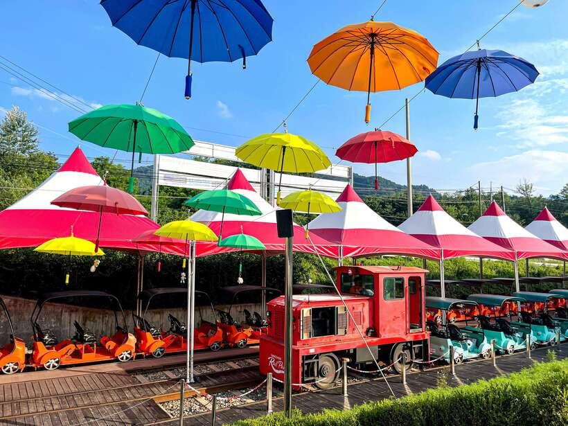 Seoul: Alpaca World & Nami Island optional Gangchon Railbike - How the 11 to 13 hours on the bus really feels