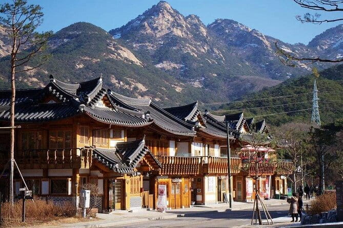 Seoul and Suburbs Private Customized Tour - Price and value: what $244.76 covers (and what it doesn’t)