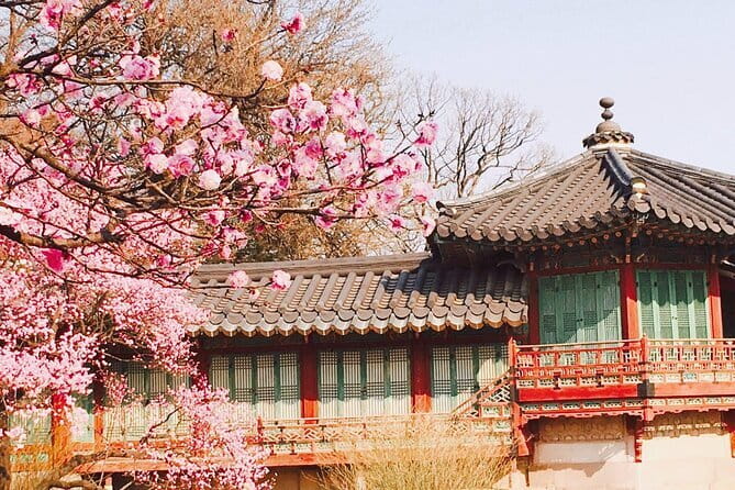 Seoul and Suburbs Private Customized Tour - Stop 3: Petite France for The Little Prince vibes and French-style streets