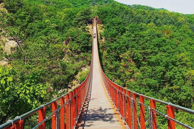 Seoul and Suburbs Private Customized Tour - Pickup, mobile ticket, and how the day starts