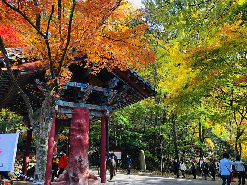 Seoul: Autumn Foliage - Mt. Naejang + Jeonju Hanok Village - Key highlights you will actually care about