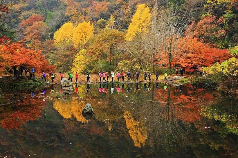 Seoul: Autumn Foliage - Mt. Naejang + Jeonju Hanok Village - The value play: two iconic experiences in one long, guided day