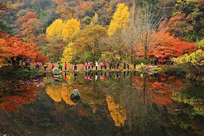 Seoul: Autumn Foliage - Mt. Naejang + Jeonju Hanok Village - The day’s pacing: long transfers, real walking, and how to stay comfortable