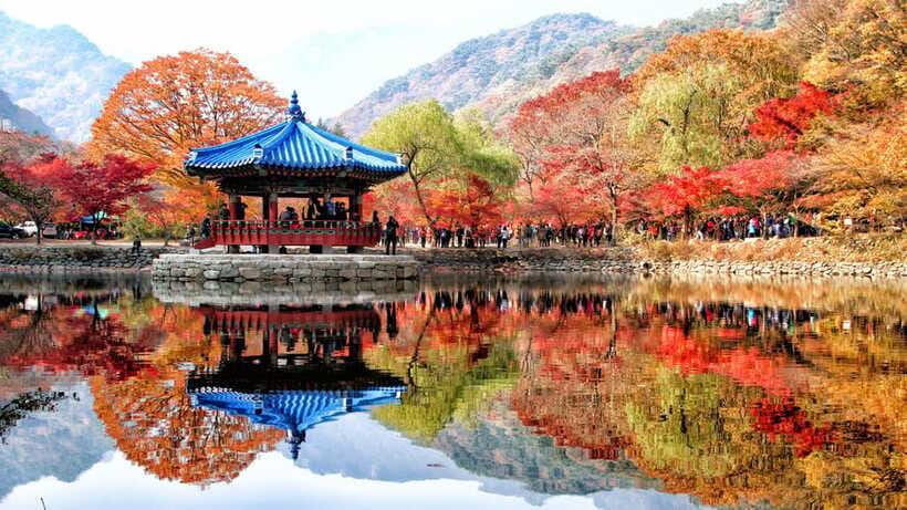 Seoul: Autumn Foliage - Mt. Naejang + Jeonju Hanok Village - Price breakdown: where your $61 goes and what you pay outside the tour