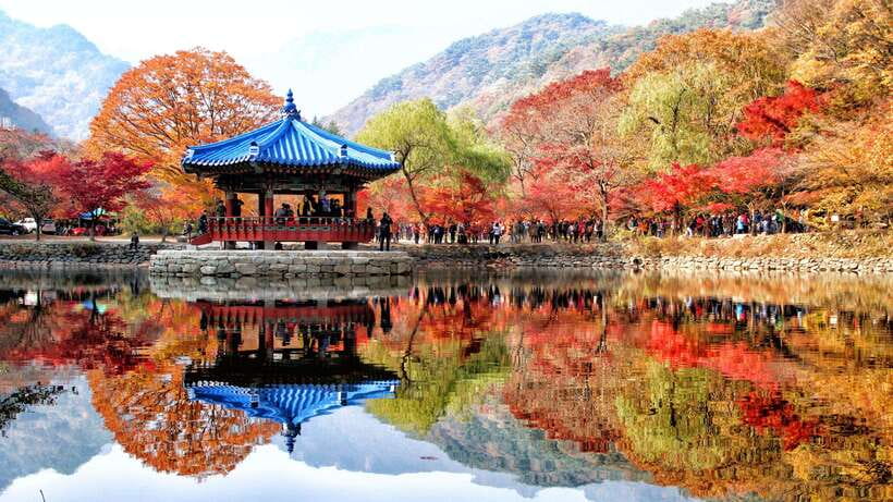 Seoul: Autumn Foliage - Mt. Naejang + Jeonju Hanok Village - Seoul pickup to Jeolla-do: what the long van ride means for you