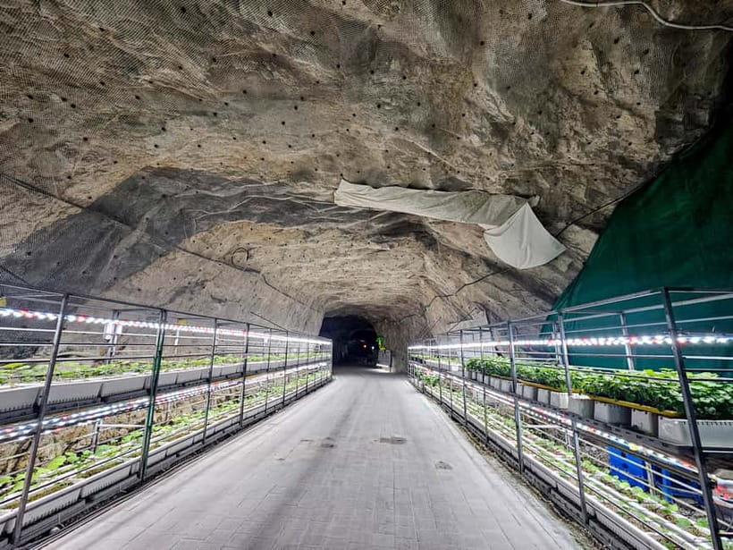 Seoul: Chungju Cruise, Cable Car & Cave Kayak Adventure Tour - The Whole Day Flow: From Shuttle to Three Tickets